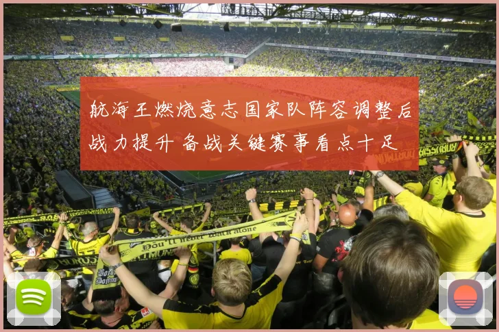 航海王燃烧意志国家队阵容调整后战力提升 备战关键赛事看点十足