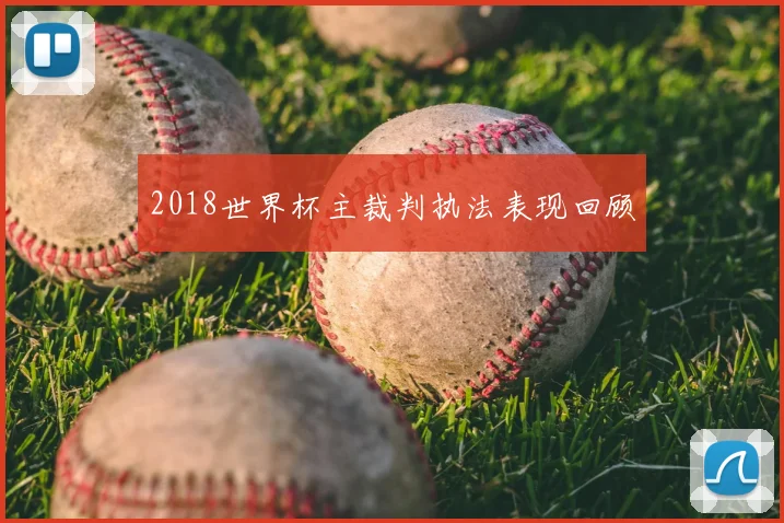 2018世界杯主裁判执法表现回顾