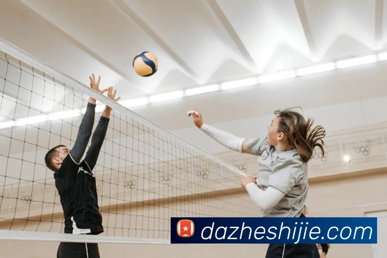 kaiyun官方入口APP 封面图